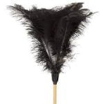 long feather duster